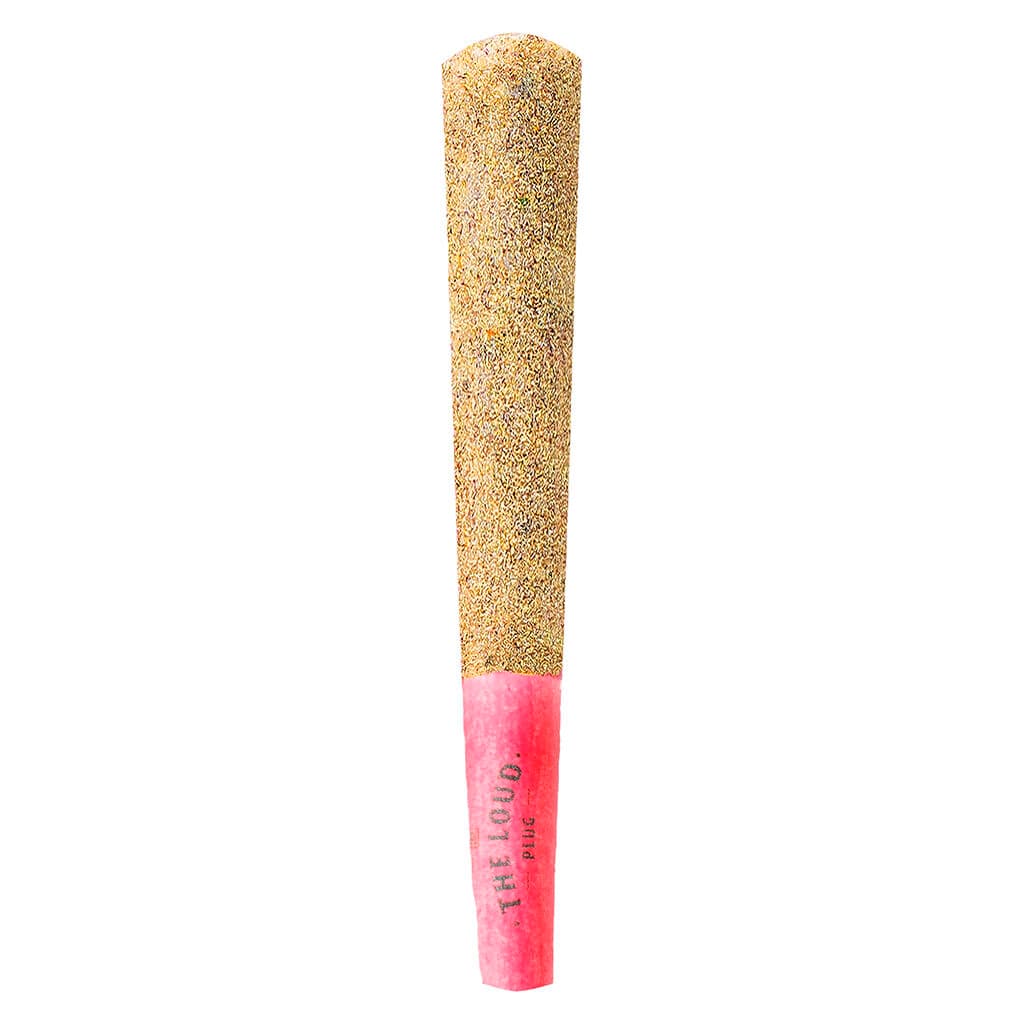 The Loud Plug -  Drippyz Dragonfruit Rntz Infused Pre-Roll - 1x1g
