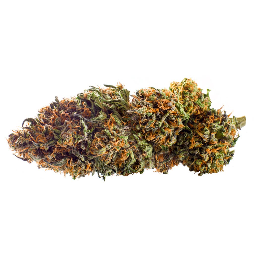 Redecan - Wappa (Sensi Star x Delahaze) - 14g