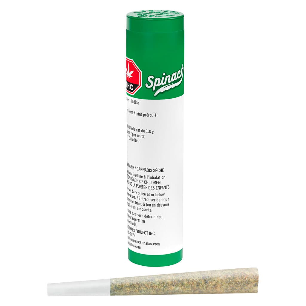 Spinach - GMO Cookies Pre-Roll - 1x1g