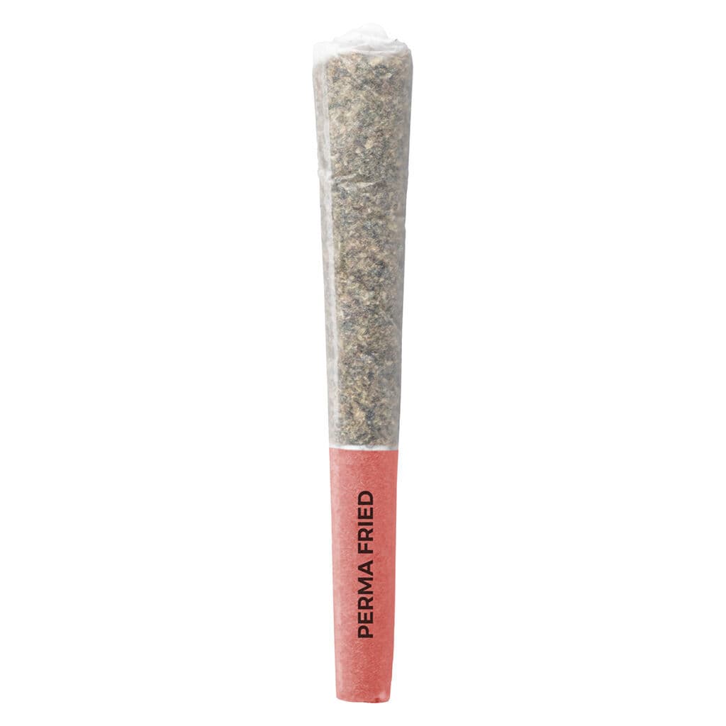 Pistol and Paris - Perma Fried Pre-roll - 3x0.5g