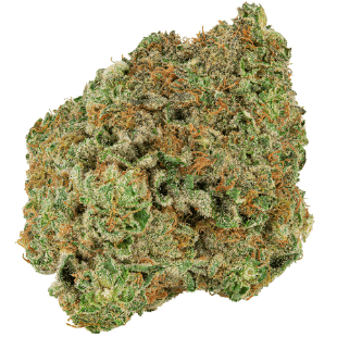 Big Bag O- Buds - Dough Lato (Dolato x Moonbow) - 28g