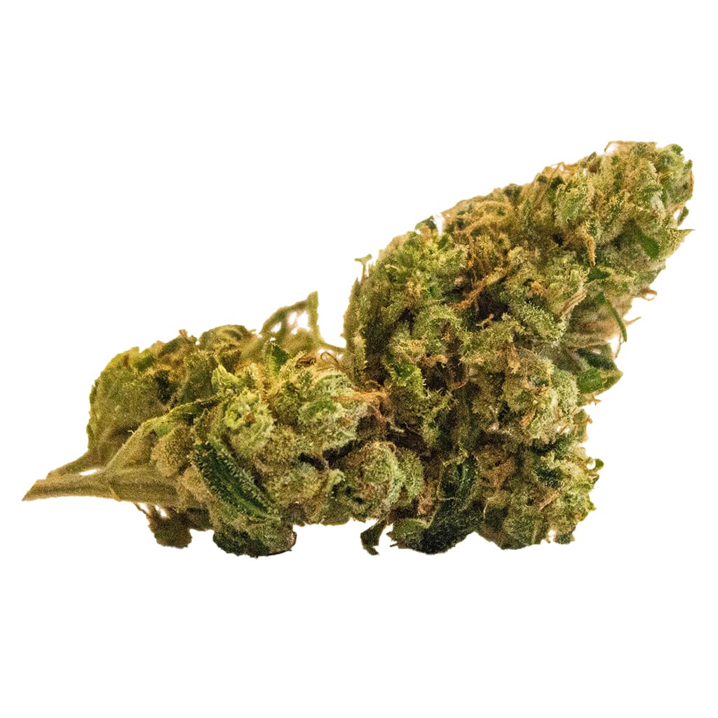 Versus - Super Lemon Haze (Lemon Skunk x Super Silver Haze) - 28g