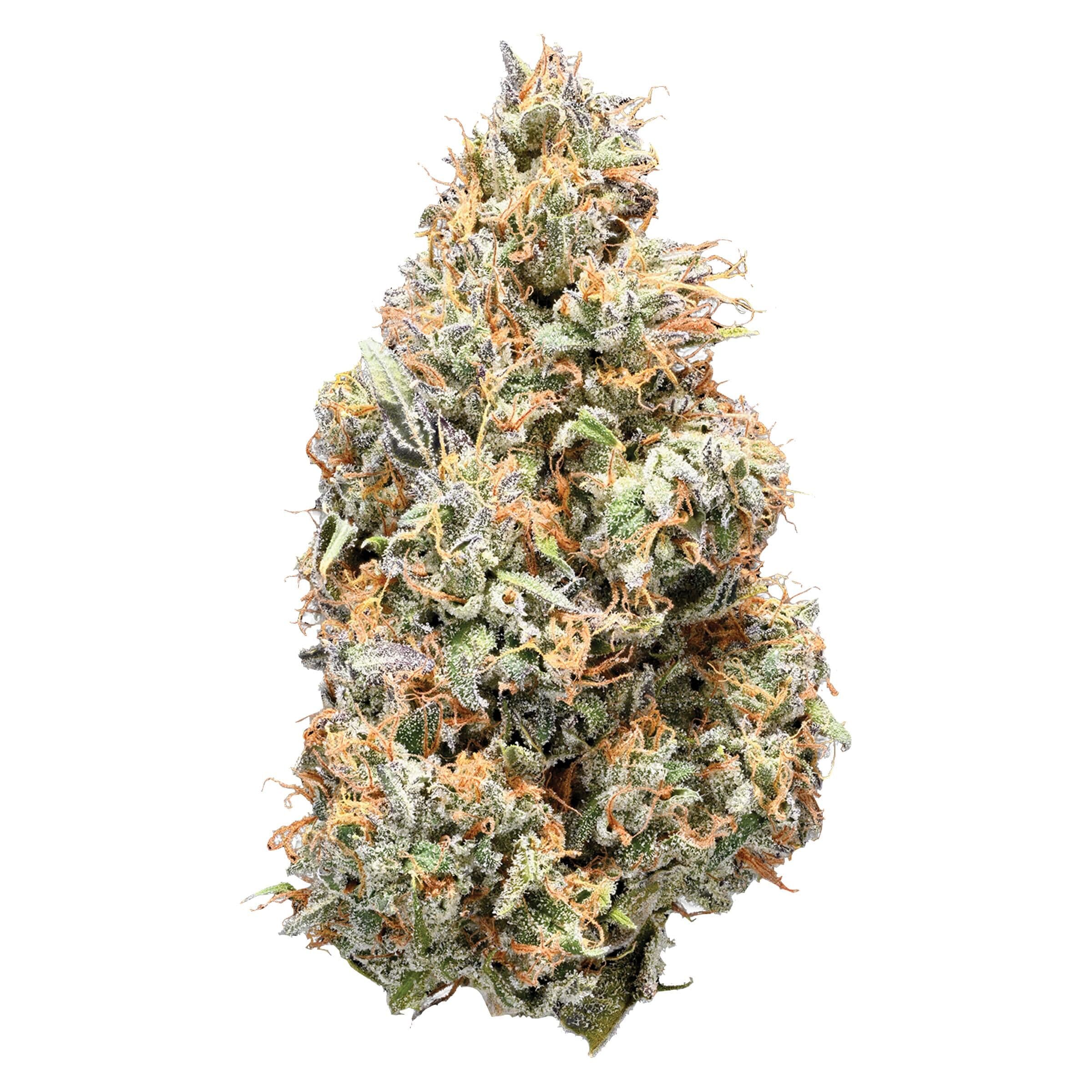 Nugz - Sativa - 14g