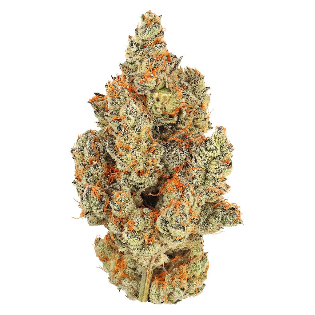 Msiku - Strawberry Storm ([GMO x Slurricane] x Slurricane) - 7g