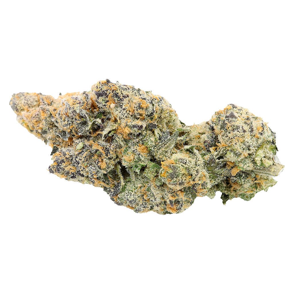 Sitka Legends - White Hot Guava - 7g