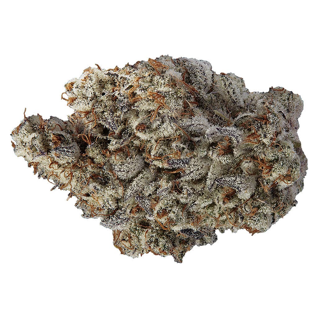 Volo - Beast Jars (Orange Turp) - 14g