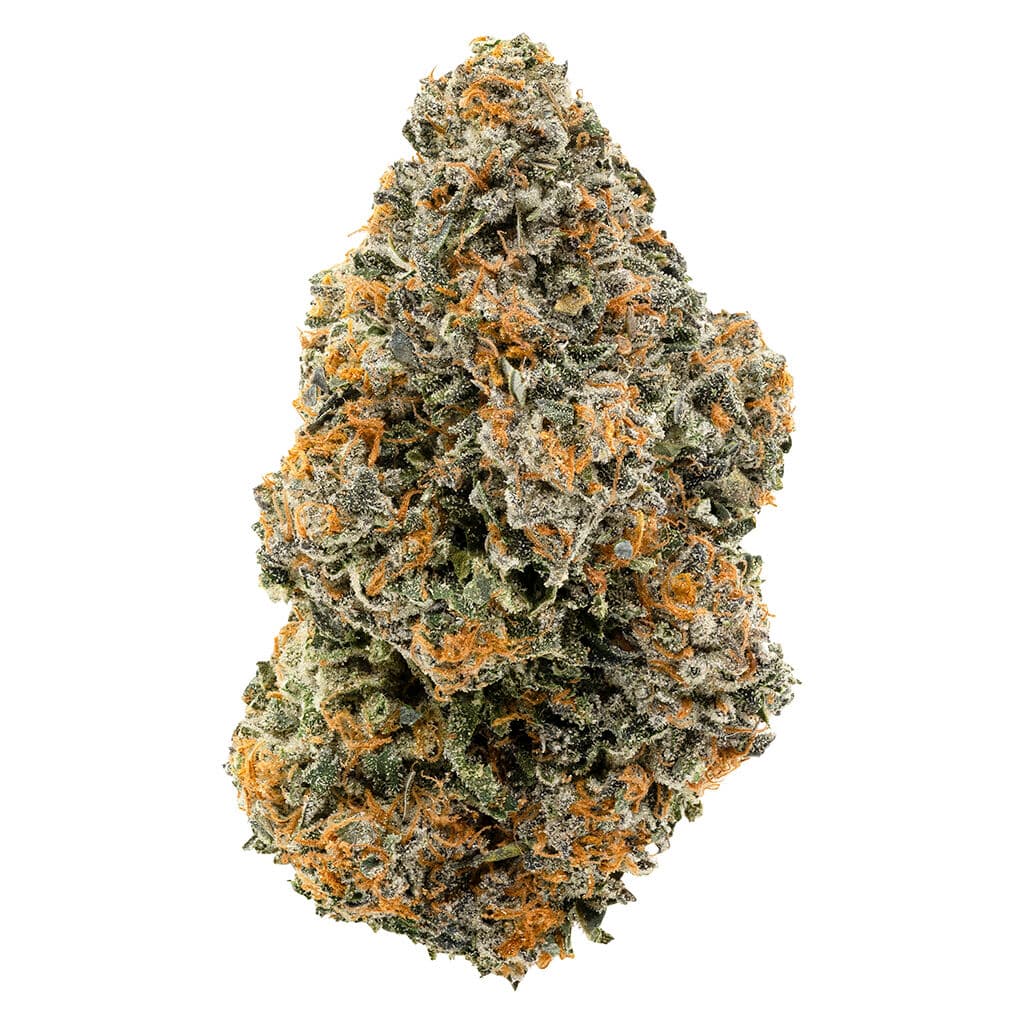 1964 - Organic Gelato #41 (Thin Mint GSC x Sunset Sherbet) - 3.5g