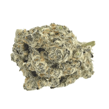 Truro - Wedding Mint (Wedding Cake x Kush Mints) - 3.5g