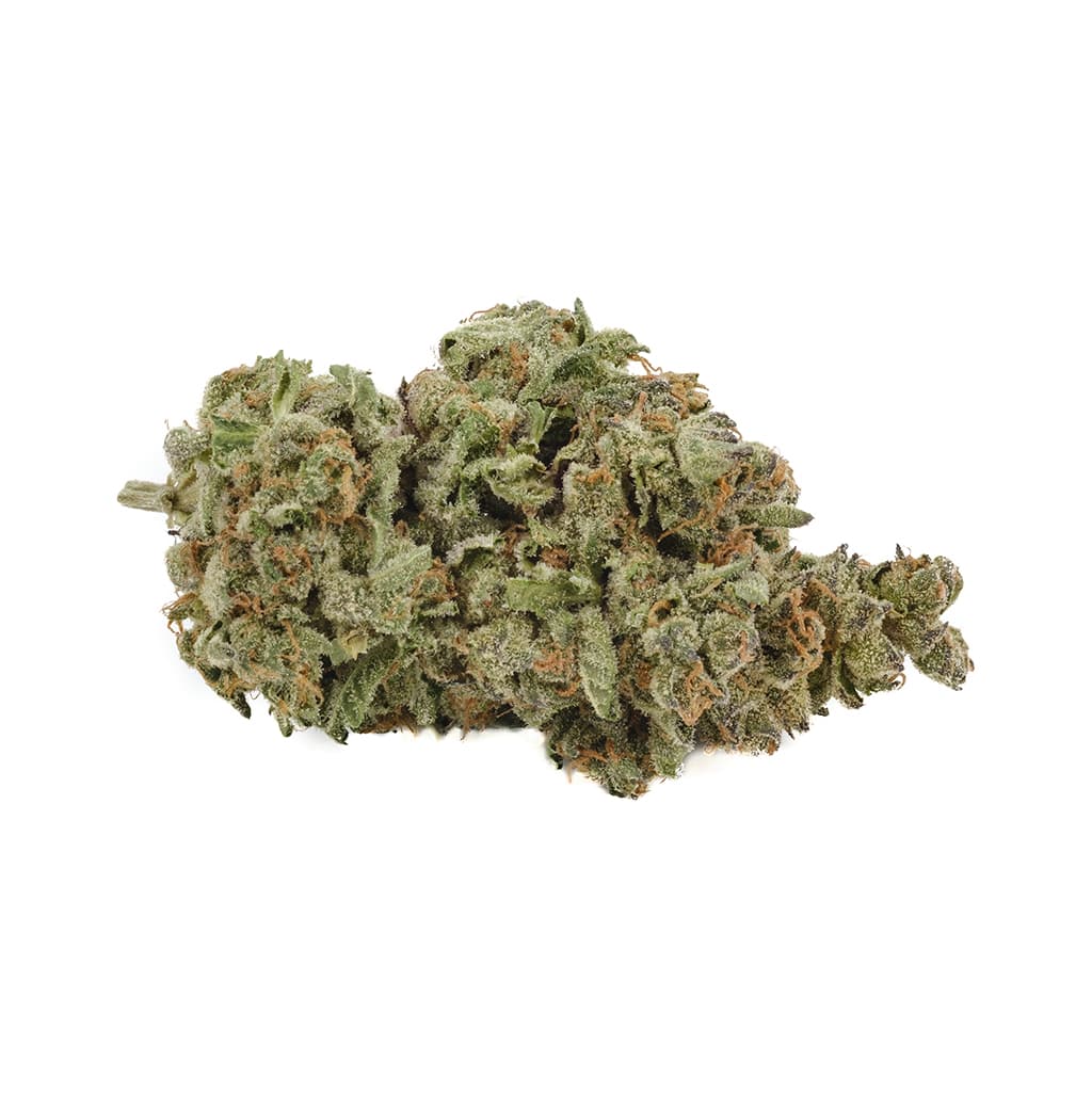Back Forty - Apple Fritter (Sour Apple x Animal Cookies) - 3.5g