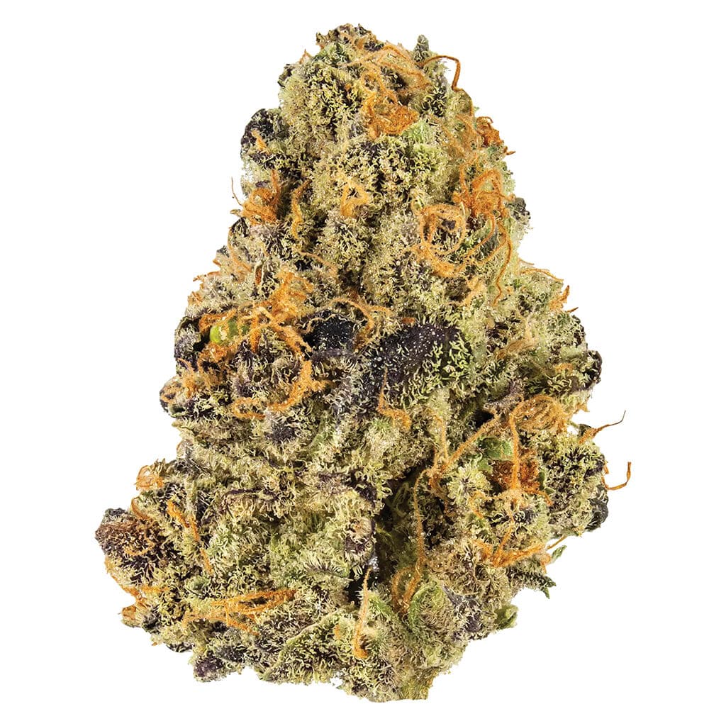 Potluck - Blueberry Tart (Thai x Purple Thai) - 7g