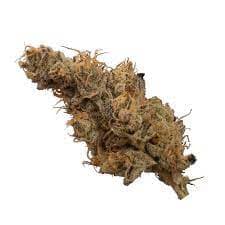 OGEN - Dosi-GMOsi #6 (Do-si-dos x GMO) - 3.5g