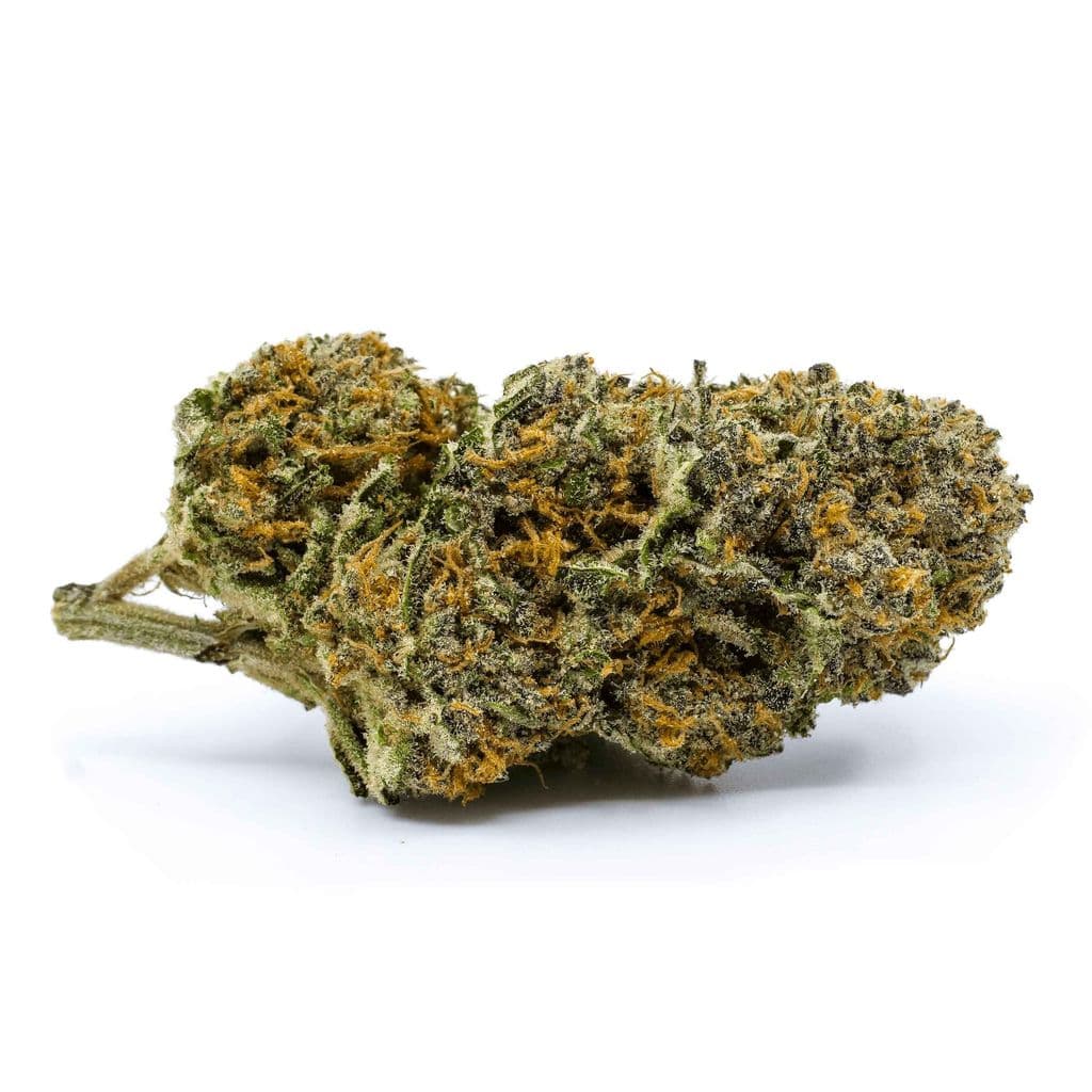 Redecan - Wappa (Sensi Star x Delahaze) - 3.5g