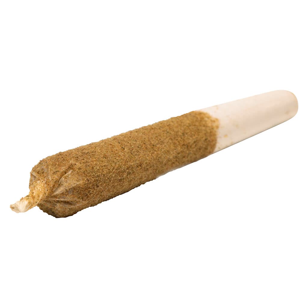 General Admission - Watermelon Splash Distillate Infused Pre-Roll - 1x1g