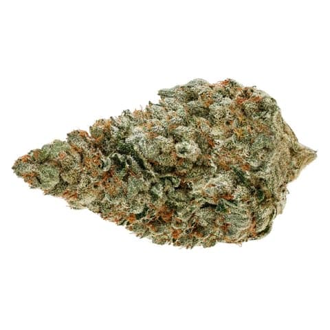 Pure Sunfarms - Jet Fuel Gelato (Gelato 45 x [High Octane OG x Jet Fuel G6]) - 28g