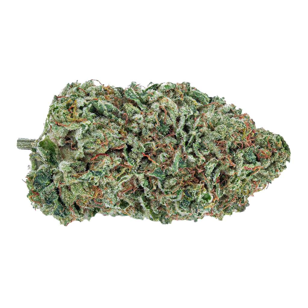 TGOD - Organic Maple Kush (Koloa Sunrise x GG4) - 3.5g