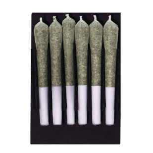 Station House - Pre-Roll Variety Pack - 12x0.5g (6xPink Kush / 6xBlue Dream)