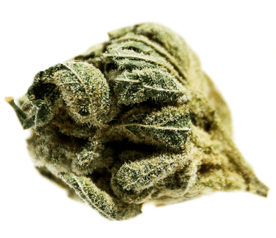 Potluck - Pineapple Express (Trainwreck x Hawaiian) - 7g