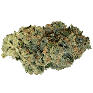 Dank Craft - Koko`s Cookies (Forum Cut GSC x Chemdawg) - 14g