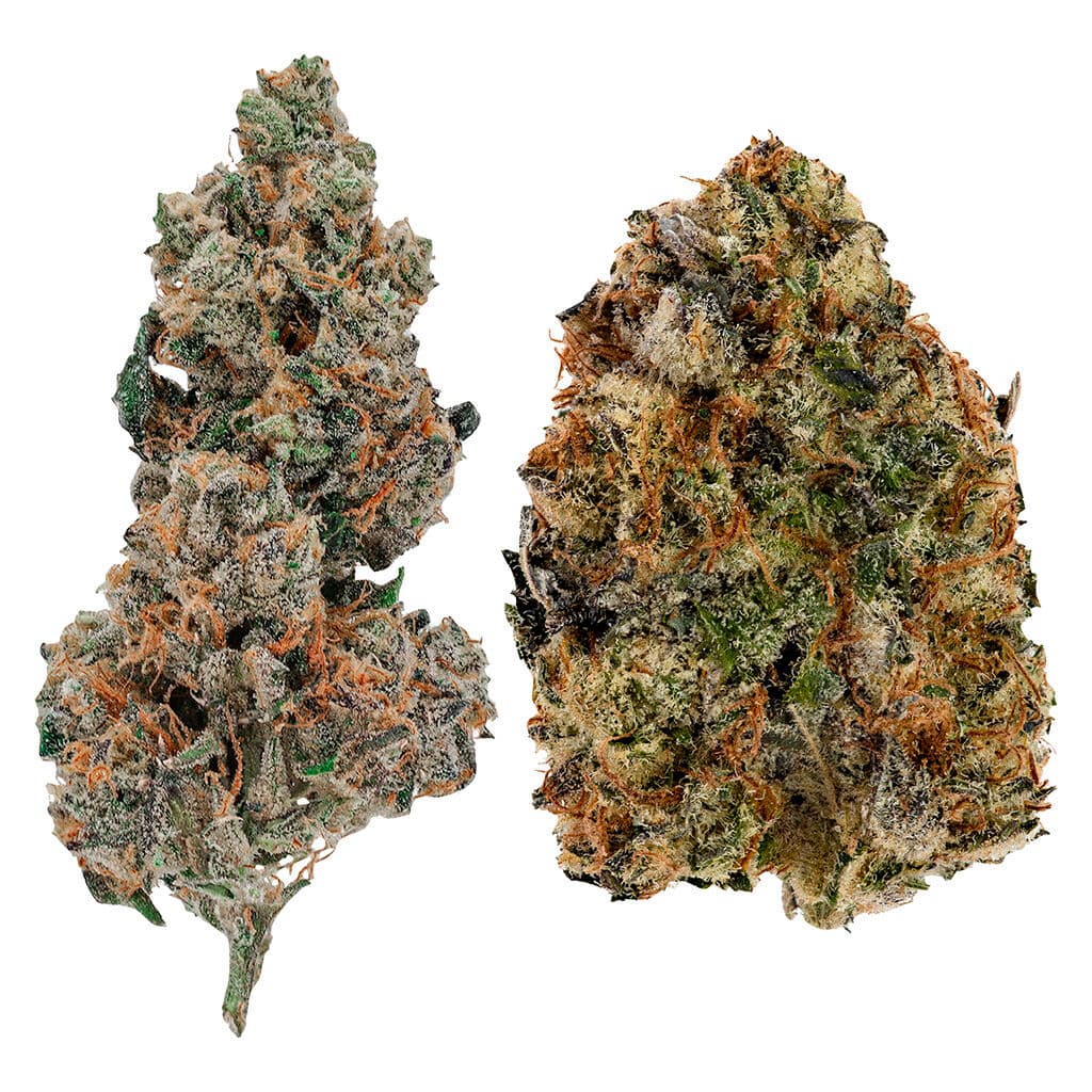 Ghost Drops - Trap Pack 14 - 14g