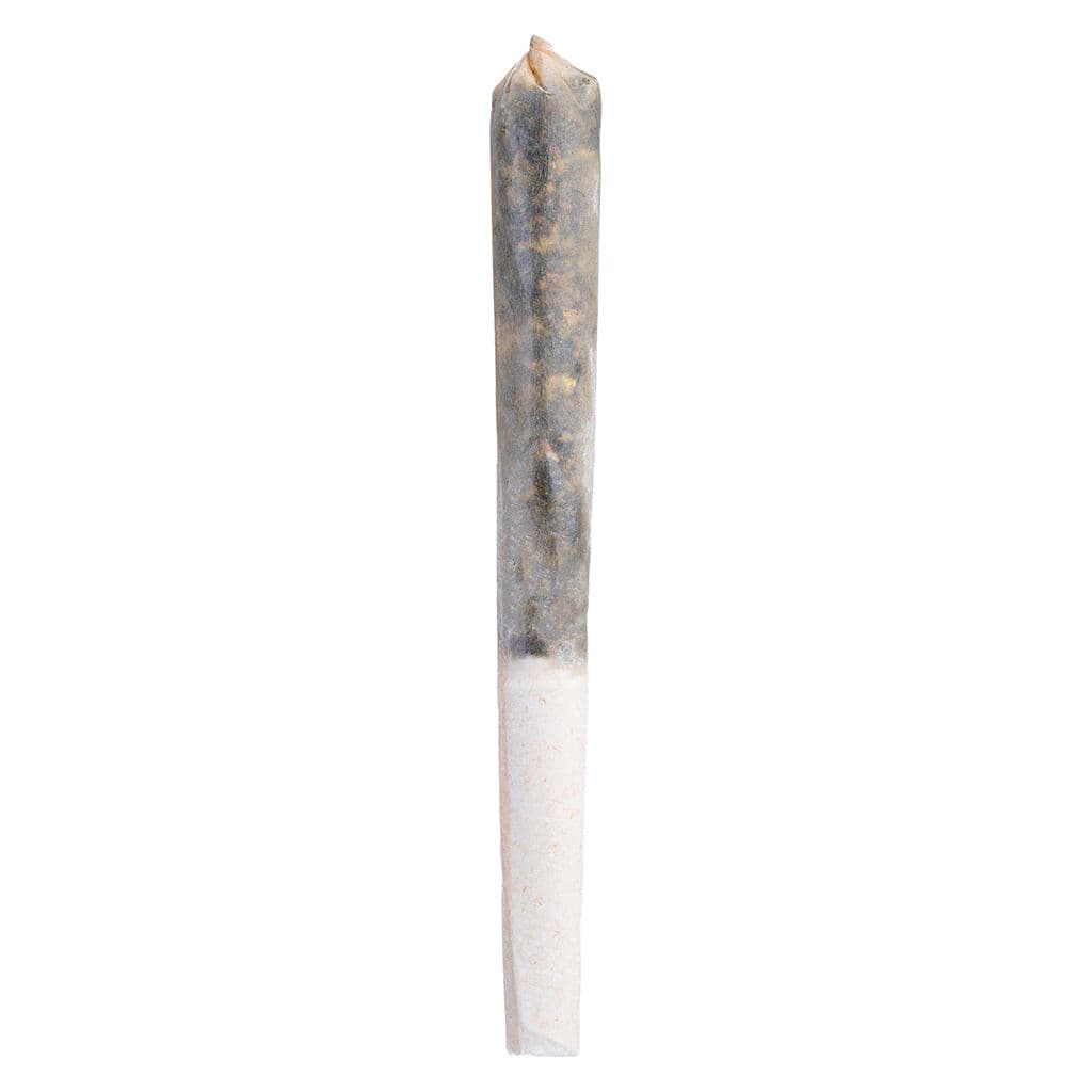 Tenzo -  IC Infusion Infused Pre-Roll - 1x0.5g