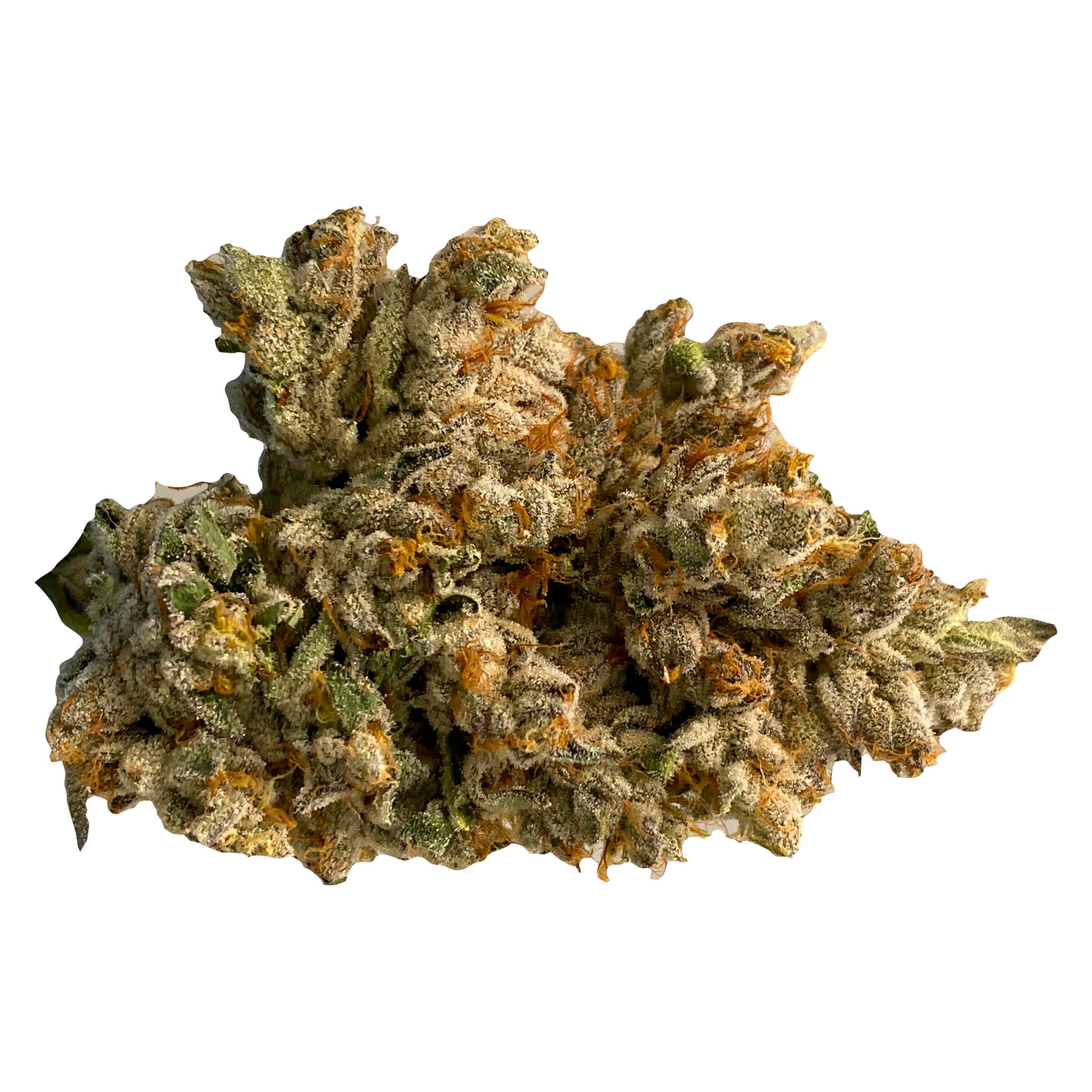 C Space - Space Dust (King Sherb x Chatterbox) - 3.5g