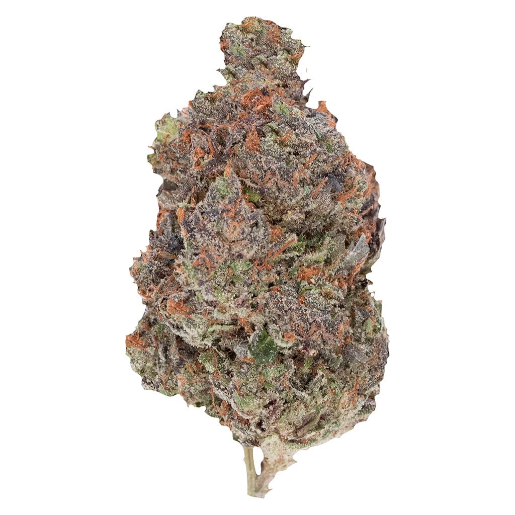 Pistol and Paris - Diablo - 7g