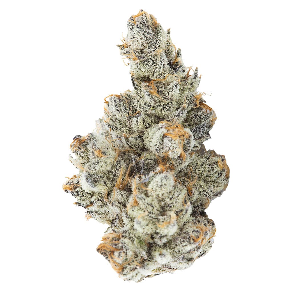 3RD Coast Genetics - Black Truffle (White Truffle x Pure Michigan) - 7g