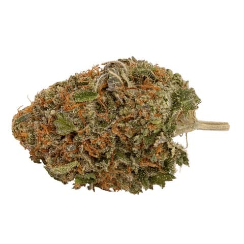 48North - Skullcap (Sour Headstash X Biker Kush) - 3.5g
