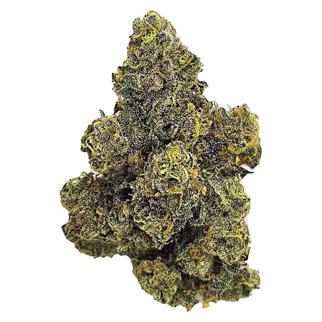 Unit 15 - Purple Octane (Biscotti x Sherb BX 1 x Jealousy F2) - 7g