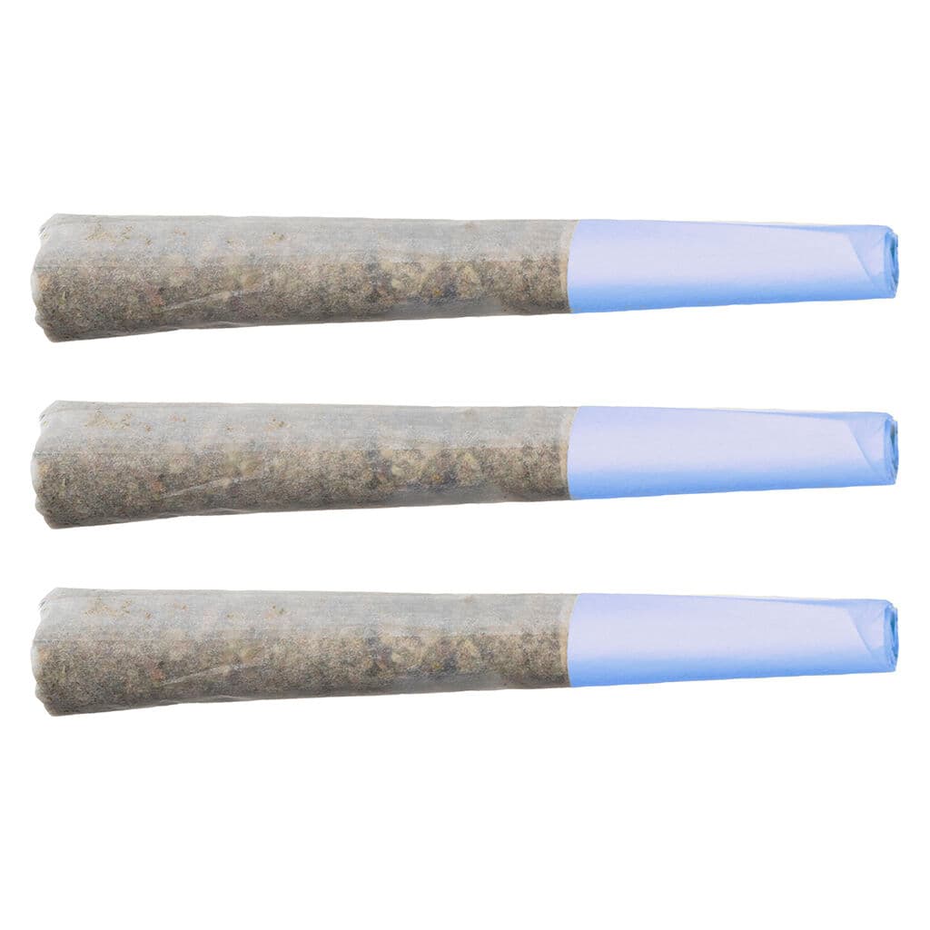 TERP GUSH - Blueberry Burst Pre-Roll (Gelato) - 3x0.5g