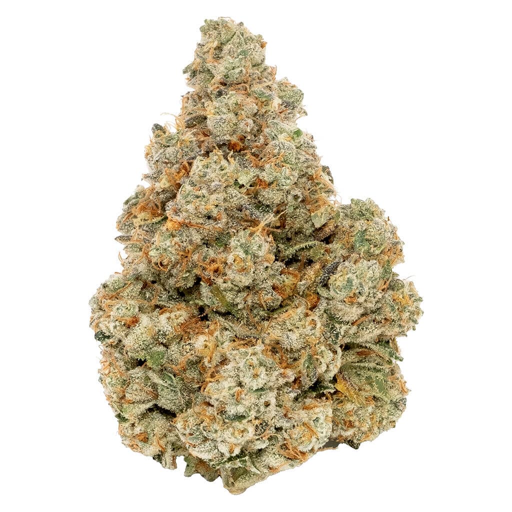 Northern Canna - Prime8 Fuel (GG#4 x Lemon Cherry Rntz) - 3.5g