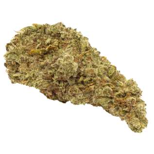 WINK - Craft Animal Face Cookies - ([Face Off OG x Animal Mints] x Girl Scout Cookies) - 3.5g
