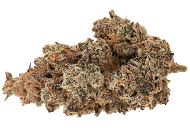 Space Flower - Slurricane Mint (Margy-s Mint x Slurricane) - 3.5g