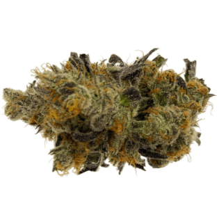 Homage - Blue Iguana (Double Dutch x Old Time Moonshine) - 3.5g