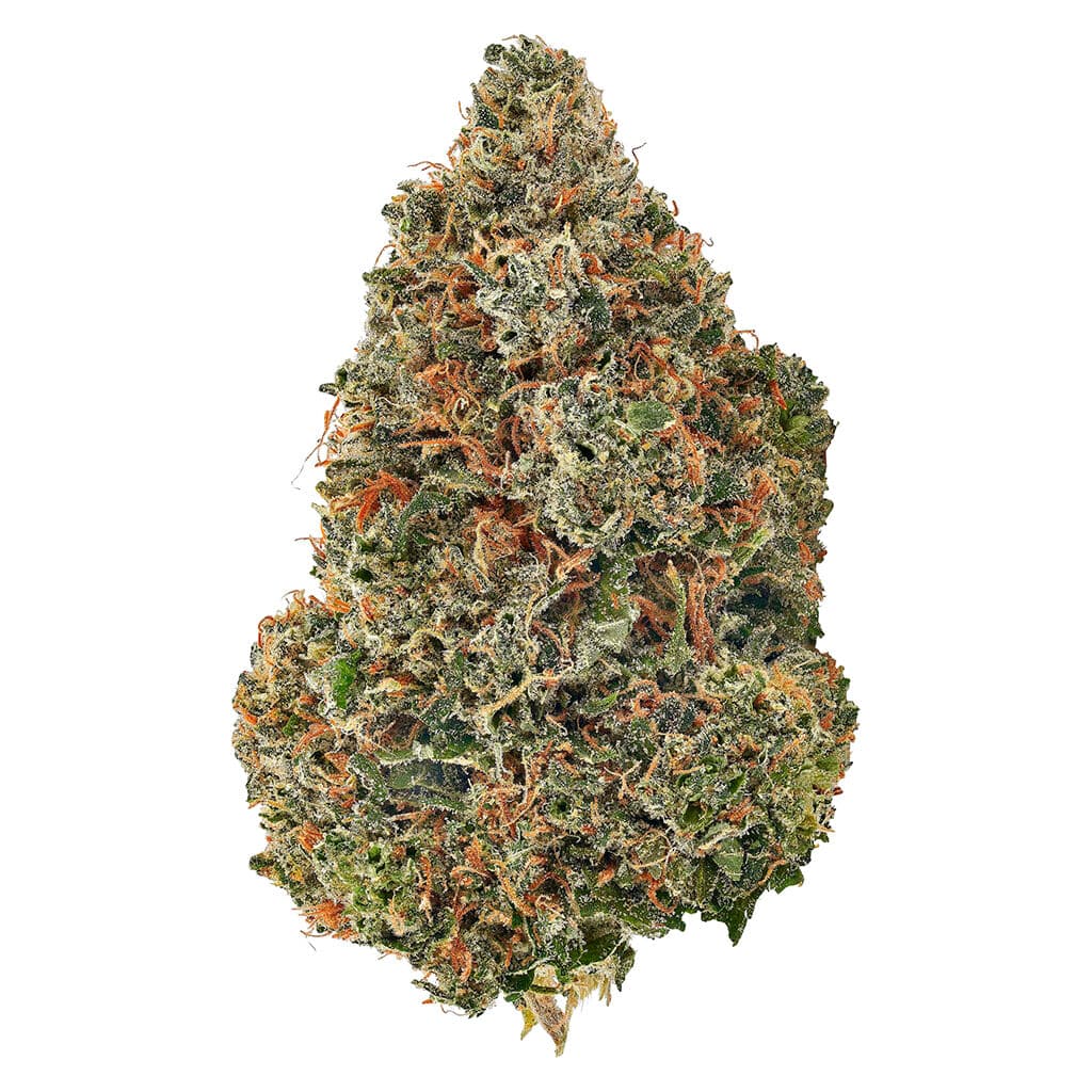 Bud Lafleur - Poison Kush (Kosher Kush x Durban Poison x Kosher Kush) - 3.5g