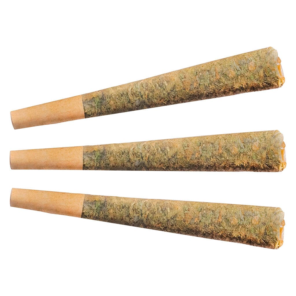 Fuego - Tropic Haze Pre-Rolls - 3x0.5g