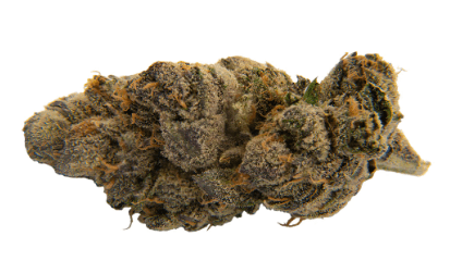 Flint & Embers - Mint Sherbert (Thin Mint GSC x Sunset Sherbert) - 3.5g