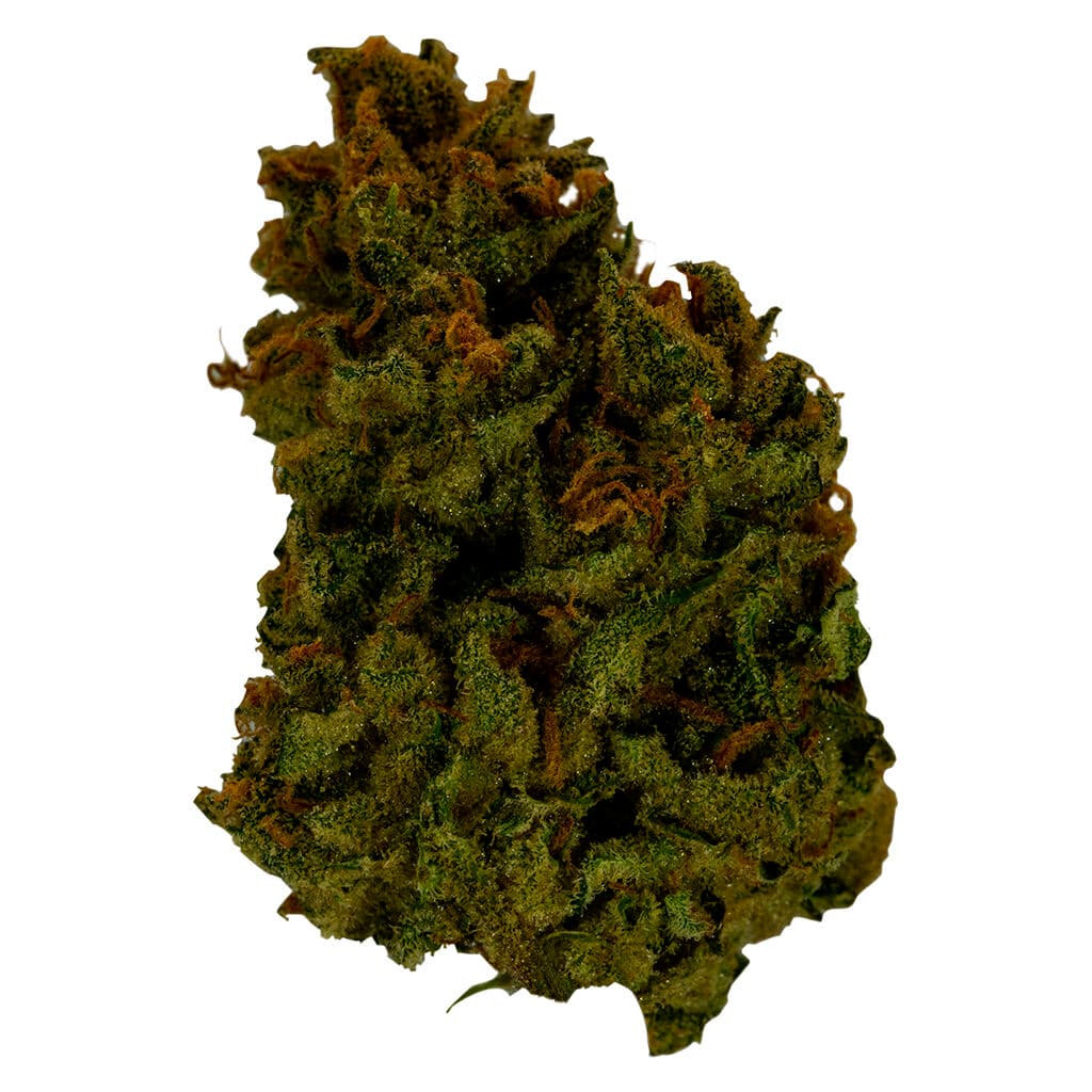 True Fire - Mega Breath (Sunset Sherb x Purple Punch) - 3.5g