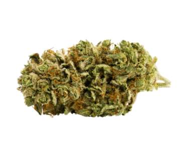 RC Craft Consortium – Gnomestar - Meat Breath (Meatloaf x Mendobreath) - 3.5g