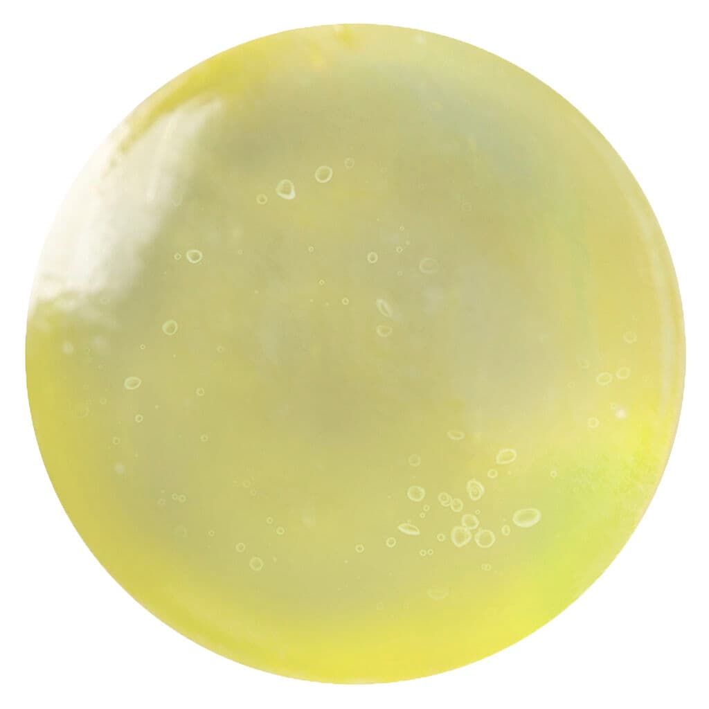 A-HA! - Tropical Punch Hard Extract Coins - 25 Coins